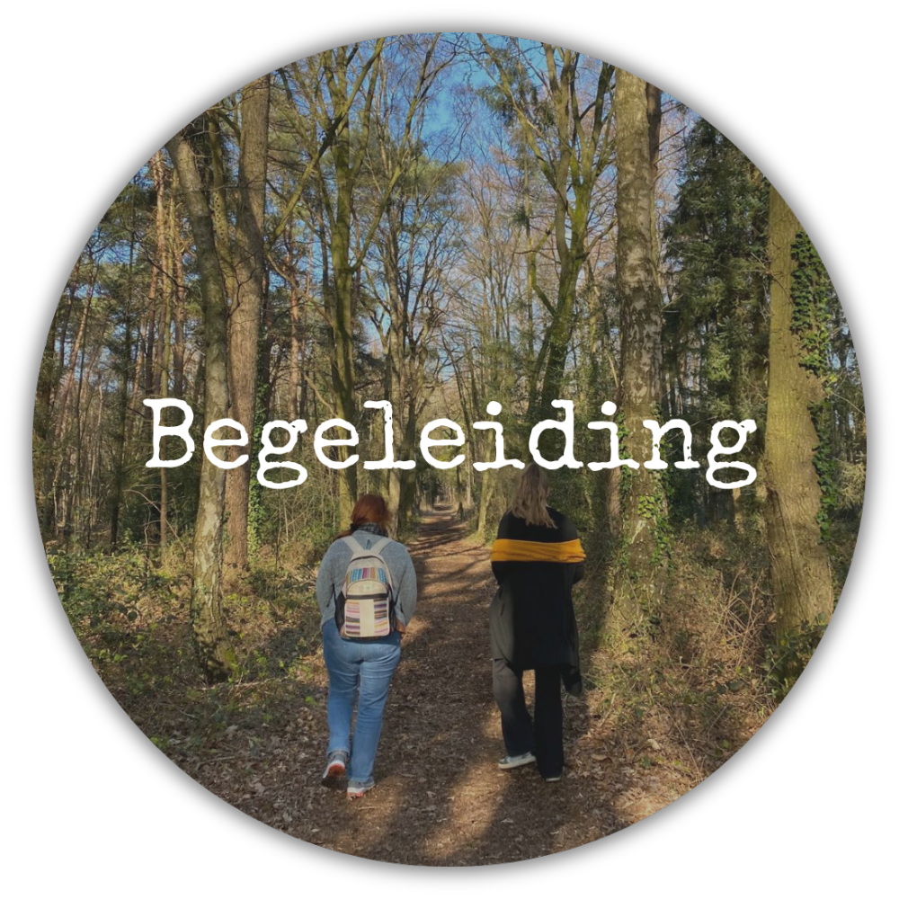 Begeleiding