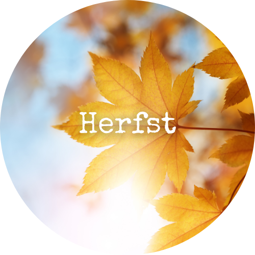 Herfst Zomer 3
