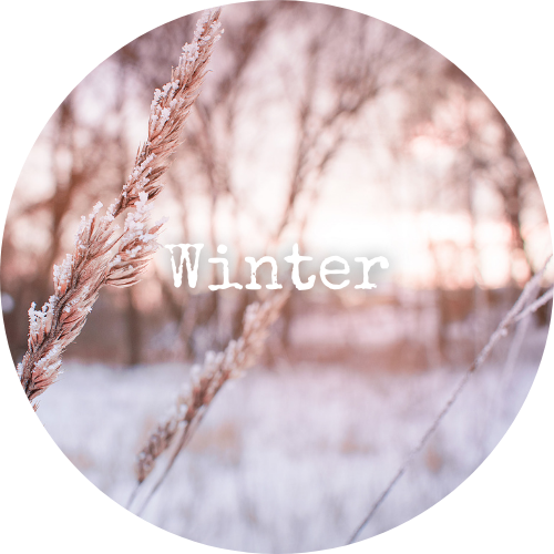 Winter Zomer 3